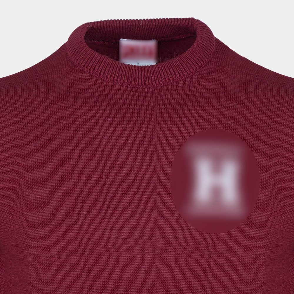 Harvard (Crew Left Chest Emb Harvard Law With Small H Applique)