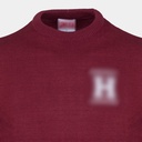 Harvard (Crew Left Chest Emb Harvard Law With Small H Applique)
