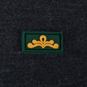 Men's T Shirt (CBJSH-5|SLM)