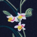 Women's Top (LSV-20|1724)