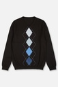 Men's Sweater (SWLO-230|FSL)