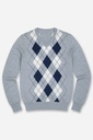 Men's Sweater (SWLO-236B|FSL)