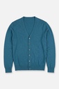 Men's Cardigan (SWLO-2301|FSL)