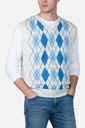 Men's Sweater (SWLO-34|POV)