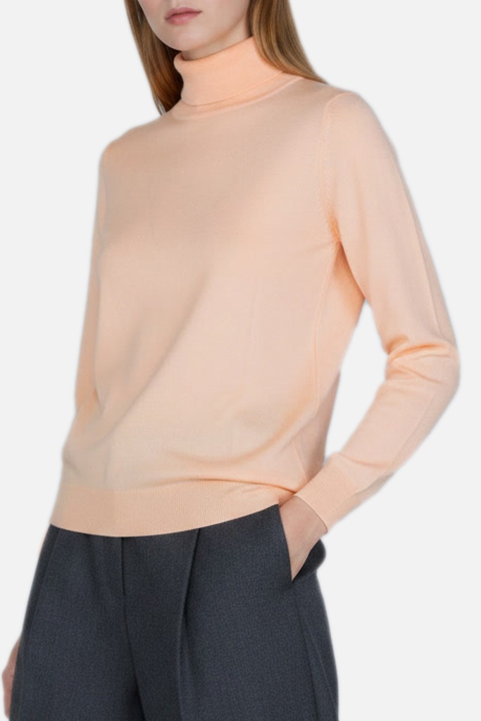 Women's Sweater (SWLO-1608|LO/1608)