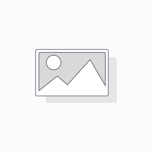 Valley Forge Academy Badge L|1479