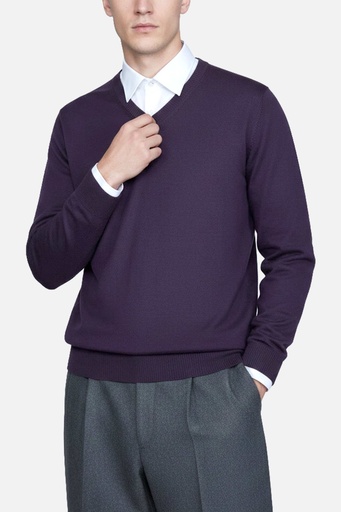 Men's Sweater (SWLO-57|FSL)