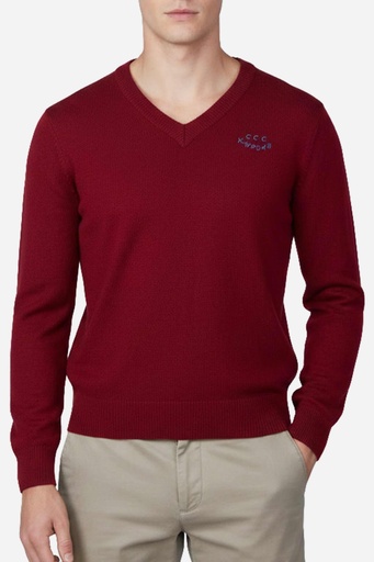 Men's Sweater (SWLO-215|FSL)