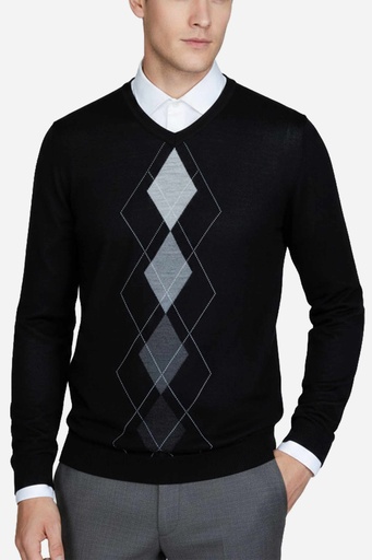 Men's Sweater (SWLO-239|FSL)